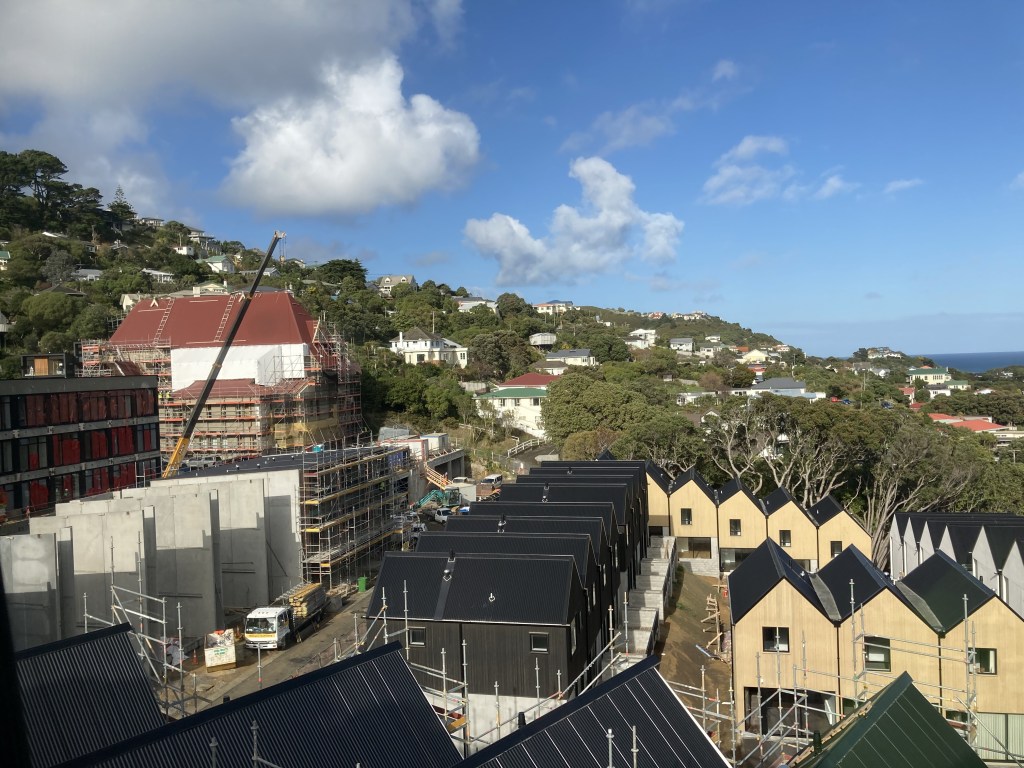 Erskine townhouses, Island Bay, commercial painting aerial view